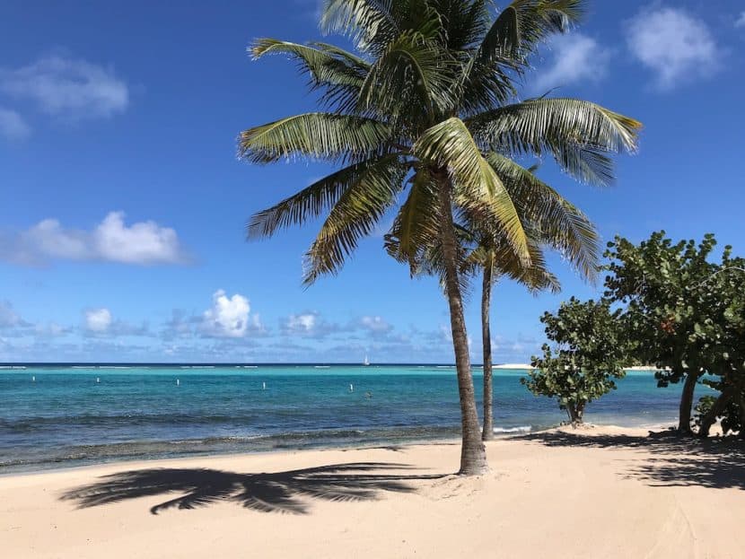 Caribbean Crewed Yacht Charters during Covid-19